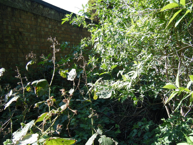 dscf5076.jpg